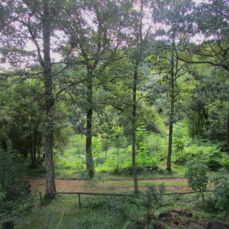Old Pine Cabin Karkloof Yarrow Exteriér fotografie