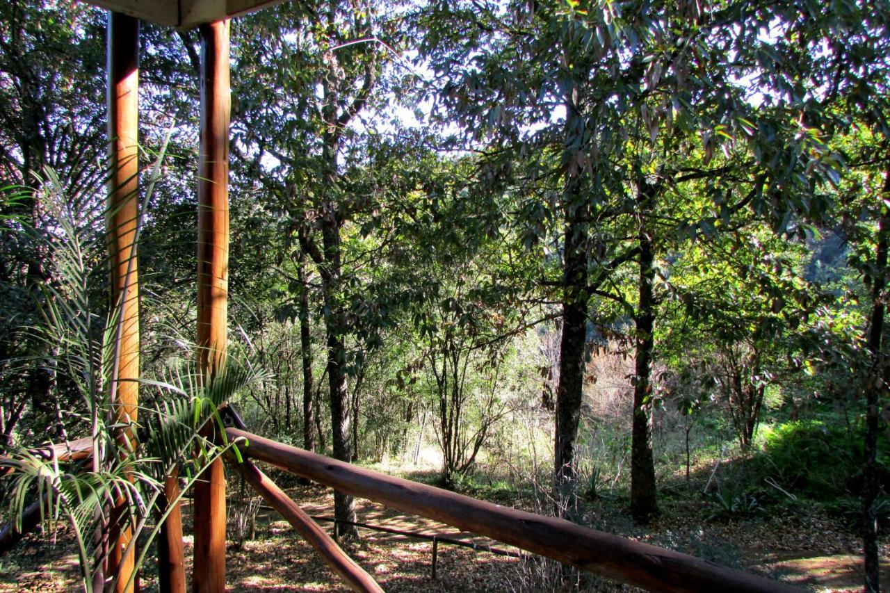 Old Pine Cabin Karkloof Yarrow Exteriér fotografie